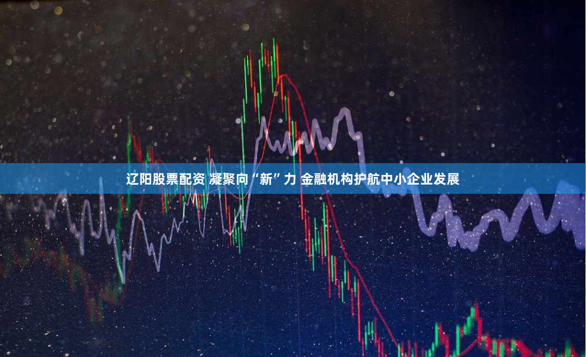 辽阳股票配资 凝聚向“新”力 金融机构护航中小企业发展